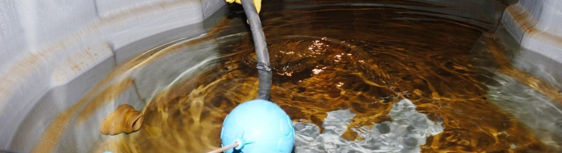 Limpeza da Caixa de água Manual   24 HORAS